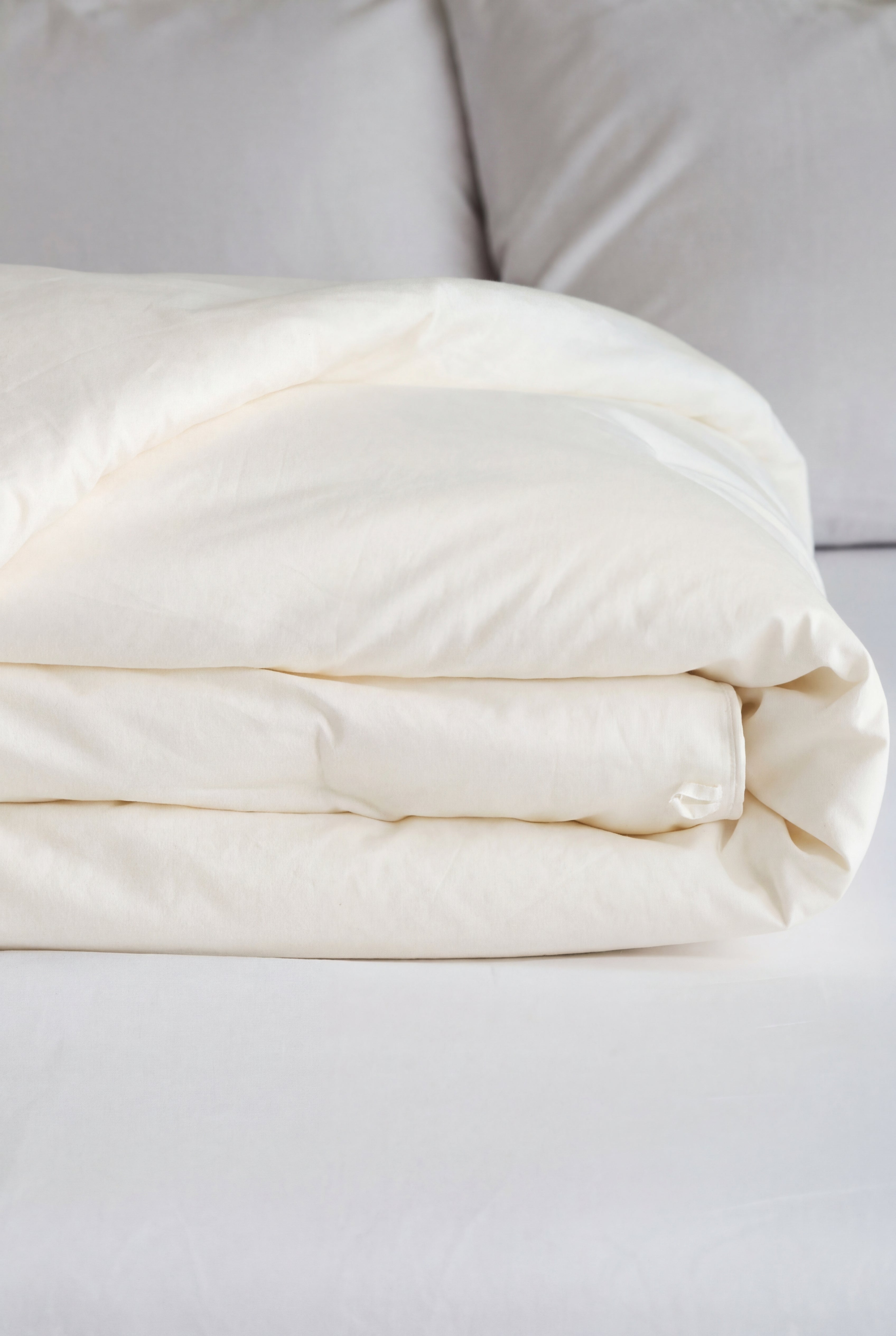 Silk Duvet Insert