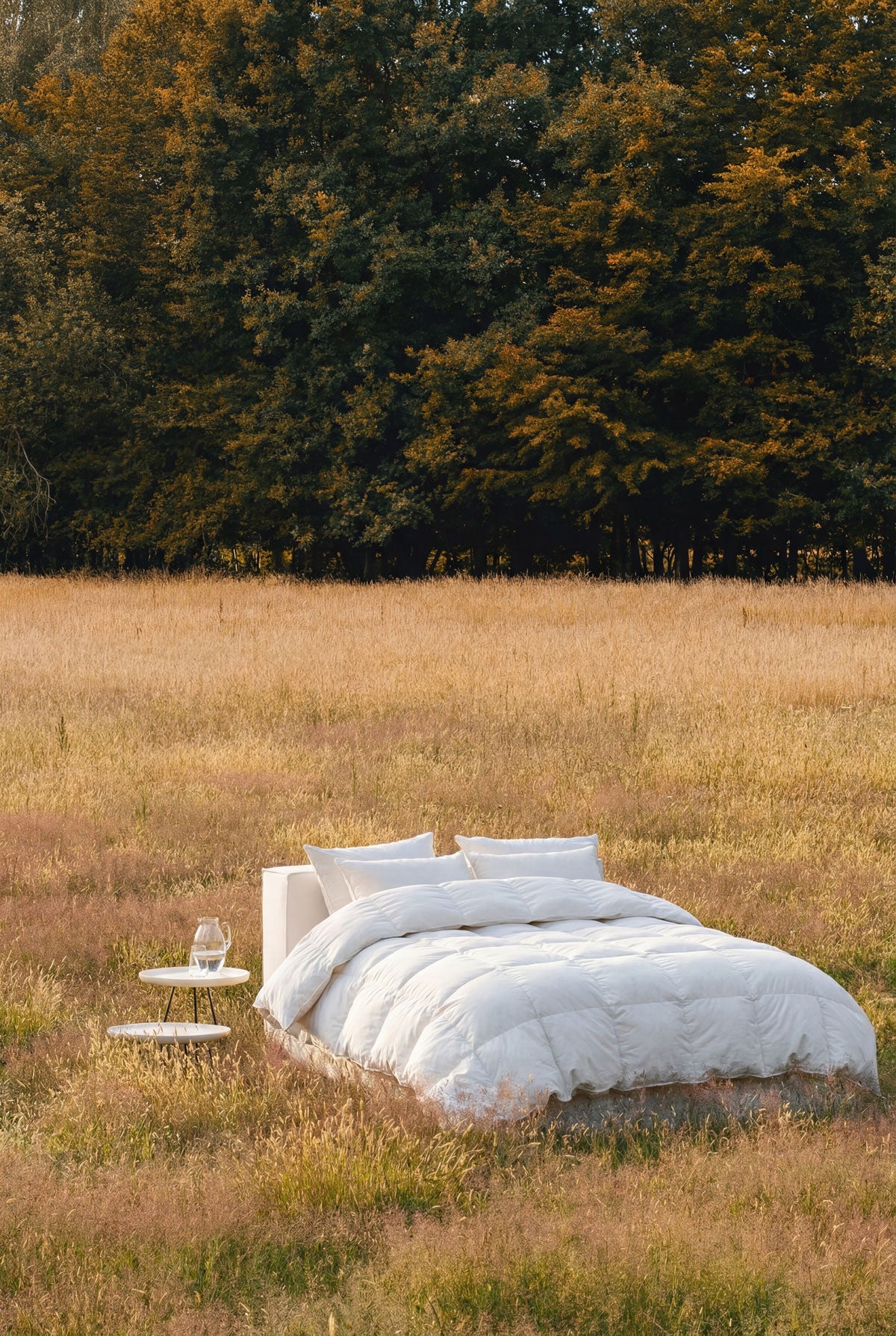 Duvet Insert