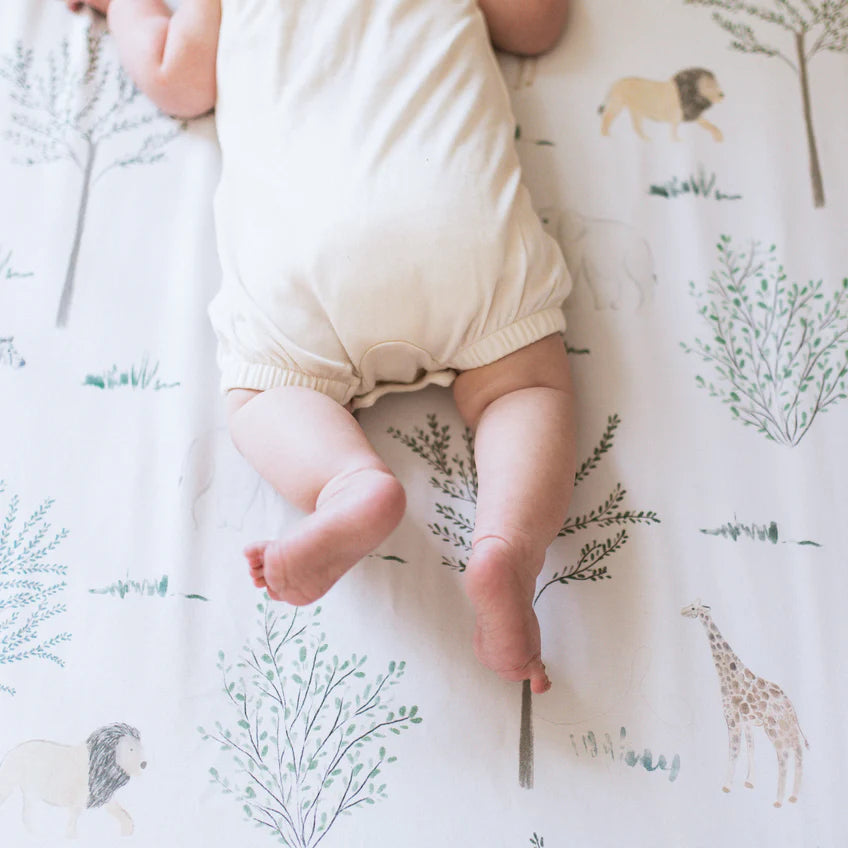 #design_Safari Dreams